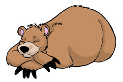 sleeping-bear-clipart-black-and-white-dcro74dc9.jpeg