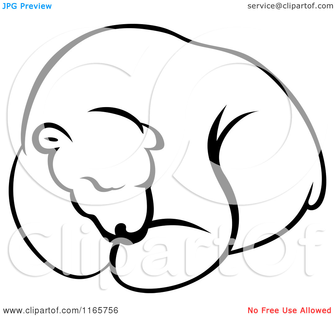 polar-bear-clip-art-black-and-white-Clipart-Of-A-Hibernating-Black-And-White-Bear-Royalty-Free-Vector-Illustration-10241165756.jpg